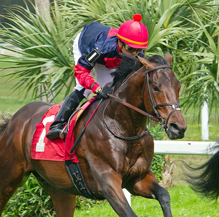 Tricky picksix sequence has 500,310 carryover